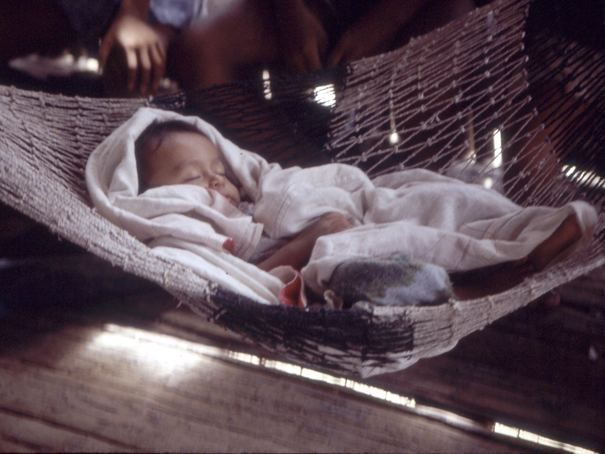 Baby hammock